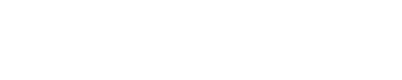 WordPress Website